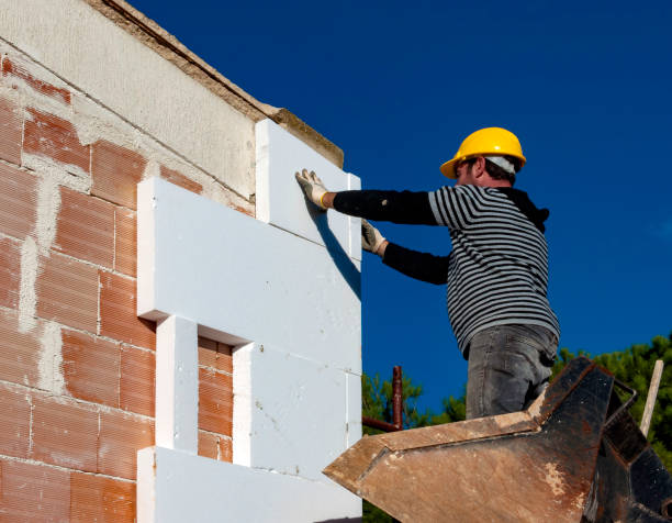 Best DIY Insulation Kits and Guidance in Ferndale, CA
