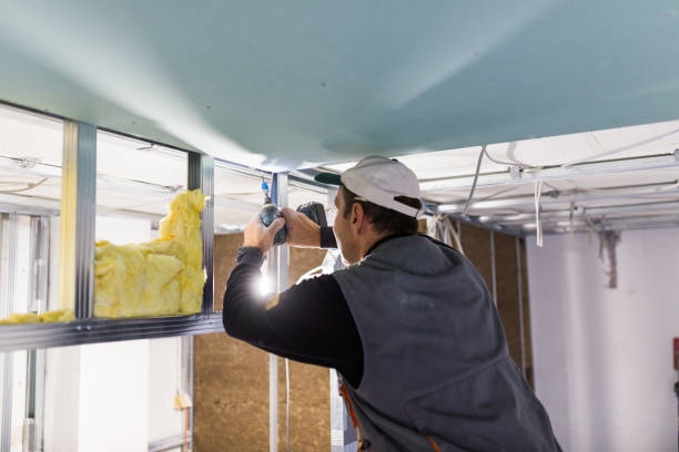 Types of Insulation We Offer in Ferndale, CA