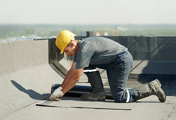 Best Residential Insulation in Ferndale, CA