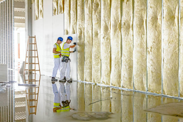 Best Fiberglass Insulation in Ferndale, CA